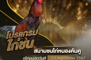 โปรแกรมไก่ชน 13 พฤศจิกายน 2567