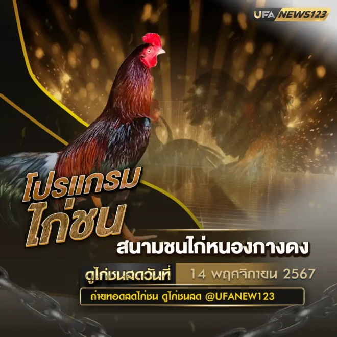 โปรแกรมไก่ชน 14 พฤศจิกายน 2567