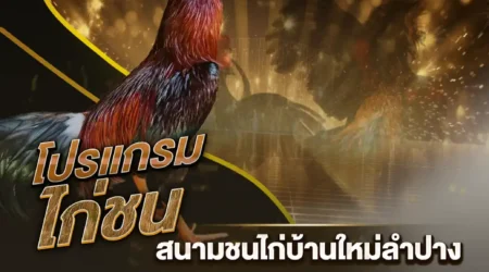 โปรแกรมไก่ชน 15 พฤศจิกายน 2567