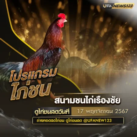 โปรแกรมไก่ชน 17 พฤศจิกายน 2567