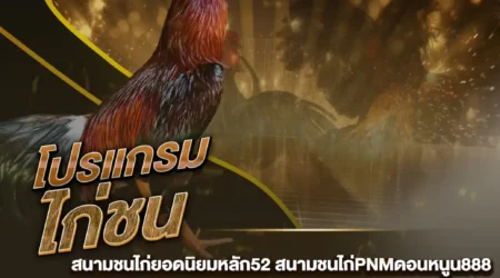 โปรแกรมไก่ชน 19 พฤศจิกายน 2567