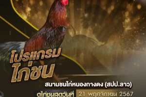 โปรแกรมไก่ชน 21 พฤศจิกายน 2567