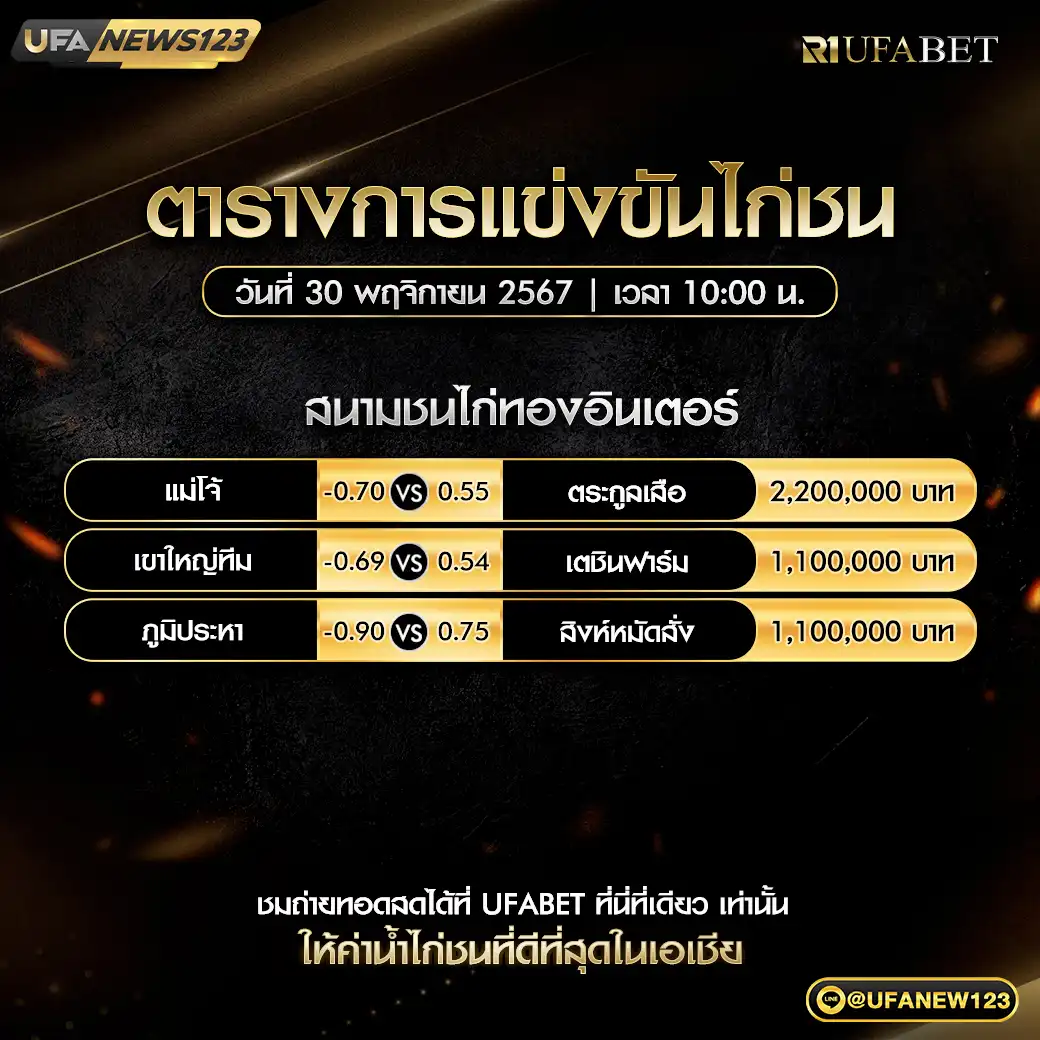 โปรแกรมไก่ชน สนามชนไก่ทองอินเตอร์ เริ่มเวลา 10.00 น. 30 พฤศจิกายน 2567