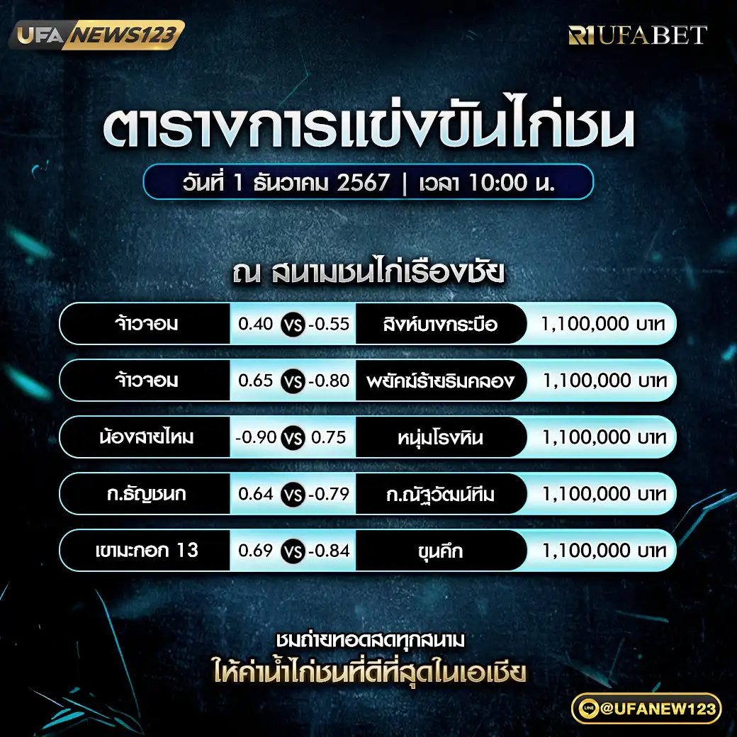 โปรแกรมไก่ชน สนามชนไก่เรืองชัย 01 ธันวาคม 2567