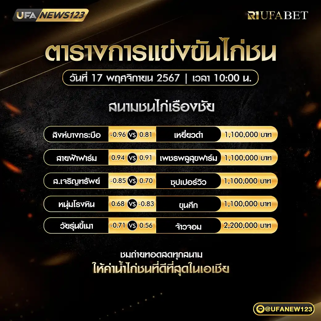 โปรแกรมไก่ชน สนามชนไก่เรืองชัย เริ่มเวลา 10:00 น. 17 พฤศจิกายน 2567