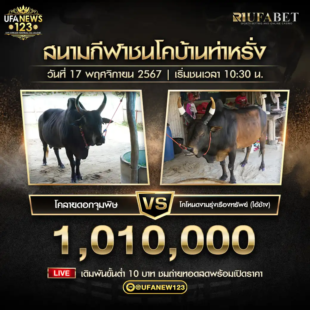 โหนดงามรุ่งเรืองทรัพย์ (ไอ้ช้าง) VS ลายดอกจุมพิษ ชิงรางวัล 1,010,000 บาท 17 พฤศจิกายน 2567