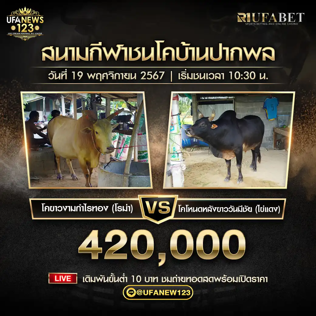 โหนดหลังขาววันมีชัย (ไข่แดง) VS ขาวงามกำไลทอง (โรม่า) ชิงรางวัล 420,000 บาท 19 พฤศจิกายน 2567