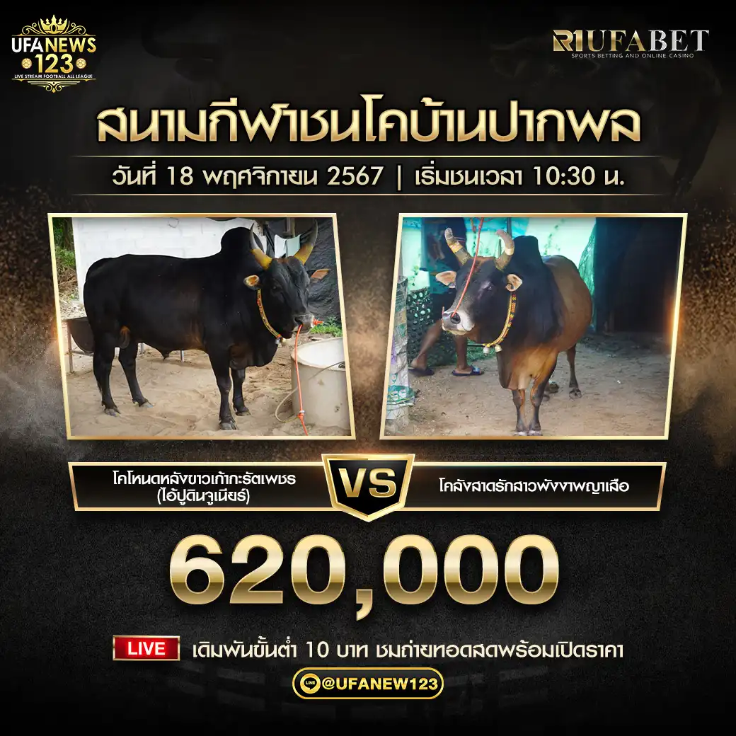 โหนดหลังขาวเก้ากะรัตเพชร (ไอ้ปูดินจูเนียร์) VS ลังสาดรักสาวพังงาพญาเสือ ชิงรางวัล 620,000 บาท 18 พฤศจิกายน 2567