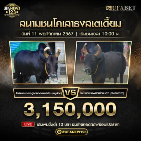 ย้อนหลังวัวชน นิลงามเพชรภูผายอดมงคลชัย VS โหนดแซมพยัคฆ์โดมทอง 11 พฤศิจกายน 2567