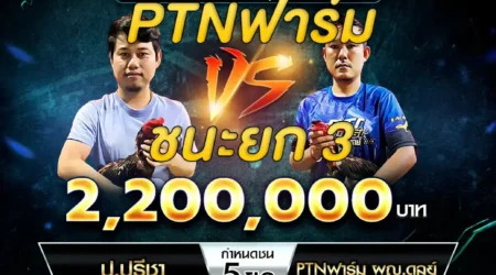 เทปไก่ชน ป.ปรีชา VS PTNฟาร์ม ผญ.ดุลย์ 08 ธันวาคม 2567