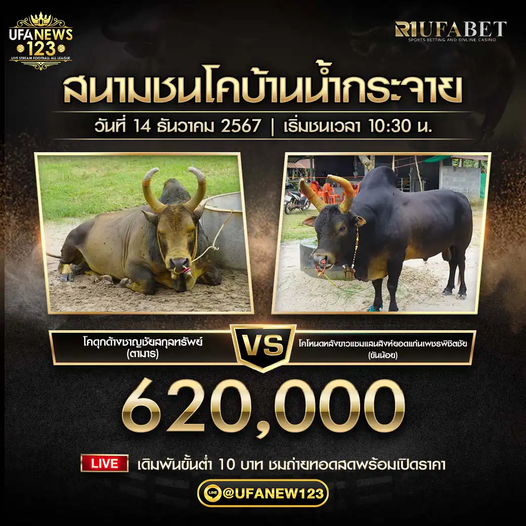 ดุกด้างชาญชัยสกุลทรัพย์ (ตามาร) VS โหนดหลังขาวแซมแสนสิงห์ยอดแก่นเพชรพิชิตชัย (ขันน้อย) ชิงรางวัล 620,000 บาท 14 ธันวาคม 2567