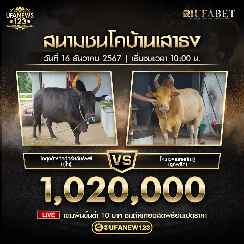 ดุกด้างศักดิ์ศรีทวีทรัพย์ (คู่ใจ) VS ขาวงามทศกัณฐ์ (ลูกพริก) ชิงรางวัล 1,200,000 บาท 16 ธันวาคม 2567