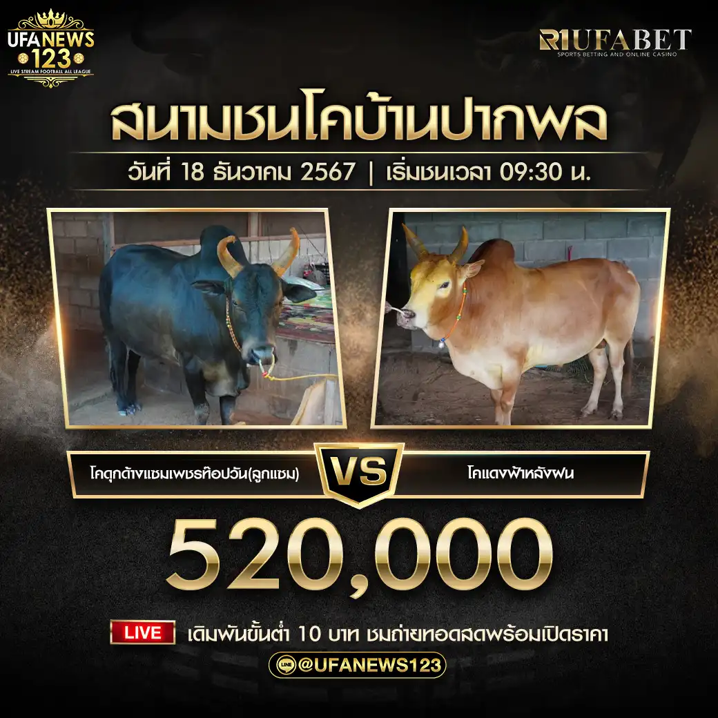 ดุกด้างแซมเพชรท๊อปวัน (ลูกแซม) VS แดงฟ้าหลังฝน ชิงรางวัล 520,000 บาท 18 ธันวาคม 2567