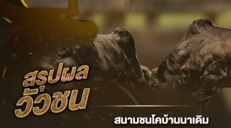 ผลวัวชน 01 ธันวาคม 2567