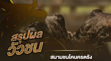 ผลวัวชน 06 ธันวาคม 2567