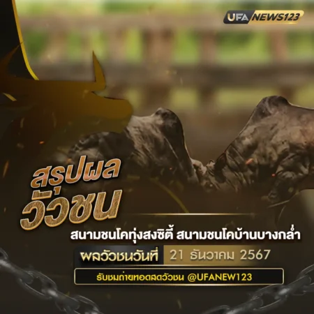 ผลวัวชน 21 ธันวาคม 2567