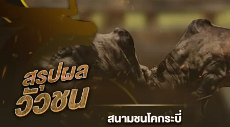 ผลวัวชน 25 ธันวาคม 2567