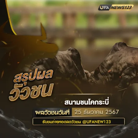 ผลวัวชน 25 ธันวาคม 2567