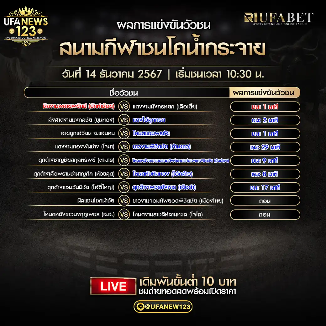 สรุปผลวัวชน สนามกีฬาชนโคน้ำกระจาย 14 ธันวาคม 2567