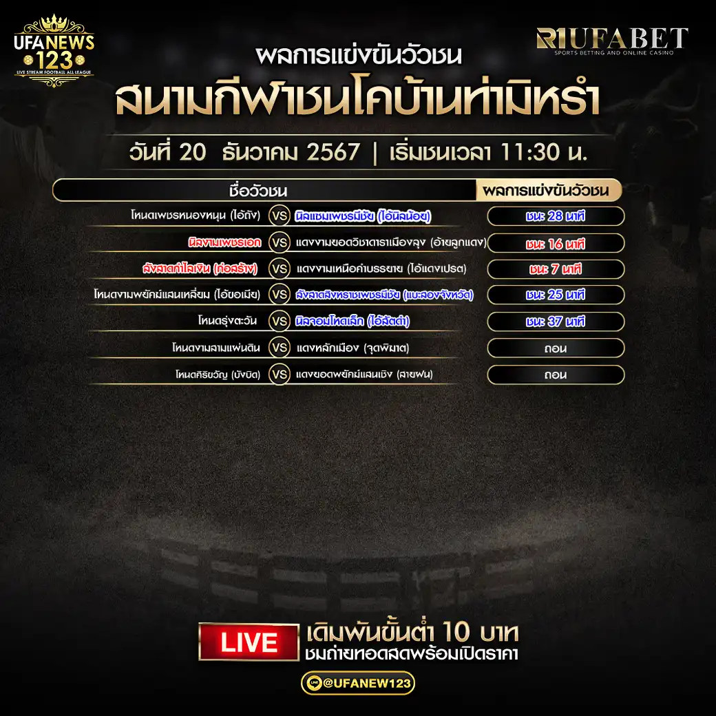 สรุปผลวัวชน สนามกีฬาชนโคบ้านท่ามิหรำ 20 ธันวาคม 2567