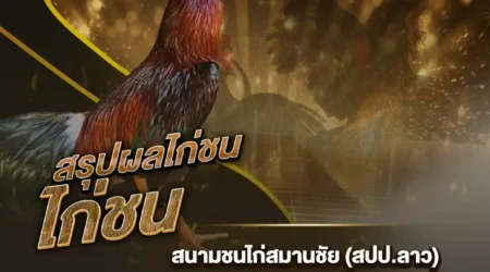 ผลไก่ชน 04 ธันวาคม 2567