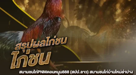 ผลไก่ชน 06 ธันวาคม 2567