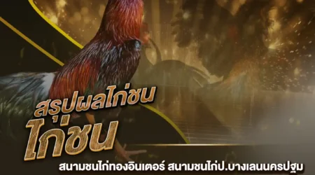 ผลไก่ชน 07 ธันวาคม 2567