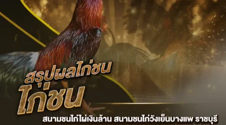 ผลไก่ชน 08 ธันวาคม 2567