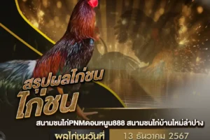 ผลไก่ชน 13 ธันวาคม 2567