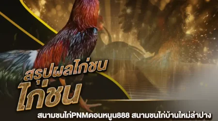 ผลไก่ชน 13 ธันวาคม 2567