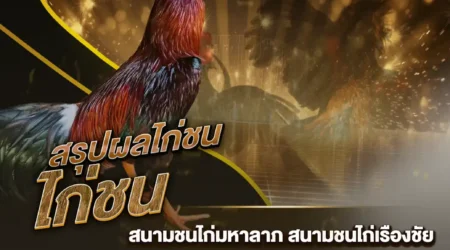 ผลไก่ชน 14 ธันวาคม 2567