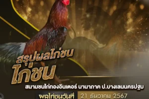 ผลไก่ชน 21 ธันวาคม 2567