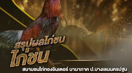 ผลไก่ชน 21 ธันวาคม 2567