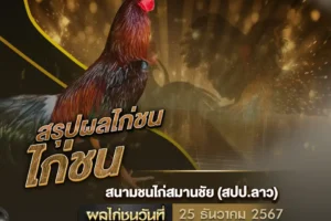 ผลไก่ชน 25 ธันวาคม 2567