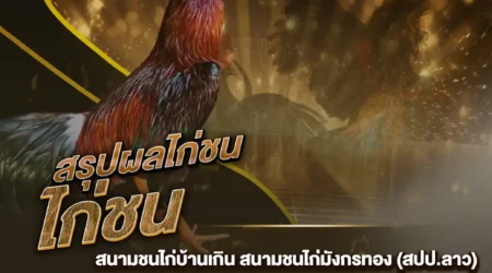 ผลไก่ชน 26 ธันวาคม 2567