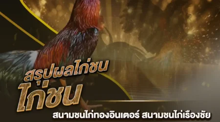 ผลไก่ชน 28 ธันวาคม 2567