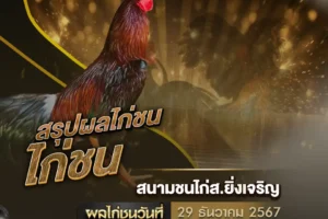 ผลไก่ชน 29 ธันวาคม 2567