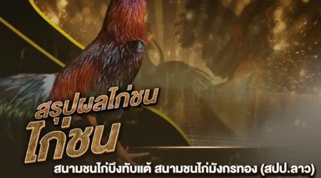 ผลไก่ชน 30 ธันวาคม 2567