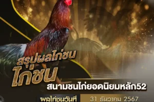 ผลไก่ชน 31 ธันวาคม 2567