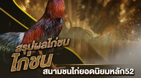 ผลไก่ชน 31 ธันวาคม 2567