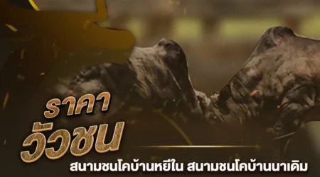 ราคาวัวชน 02 ธันวาคม 2567