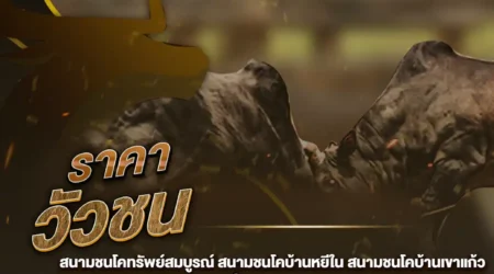 ราคาวัวชน 04 ธันวาคม 2567