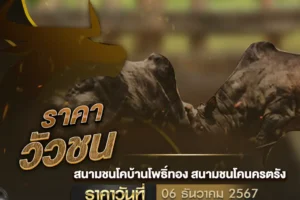 ราคาวัวชน 06 ธันวาคม 2567