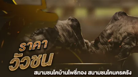 ราคาวัวชน 06 ธันวาคม 2567