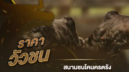 ราคาวัวชน 07 ธันวาคม 2567