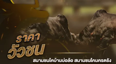 ราคาวัวชน 10 ธันวาคม 2567