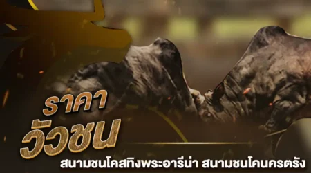 ราคาวัวชน 11 ธันวาคม 2567