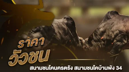 ราคาวัวชน 12 ธันวาคม 2567