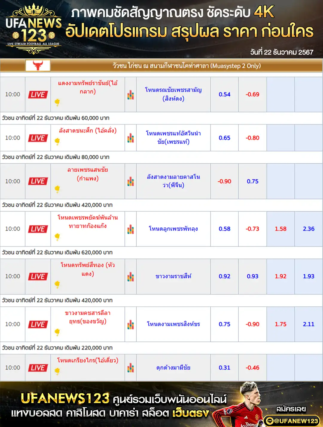 ราคาวัวชน สนามชนโคท่าศาลา เริ่มชนเวลา 10.00 น. 22 ธันวาคม 2567