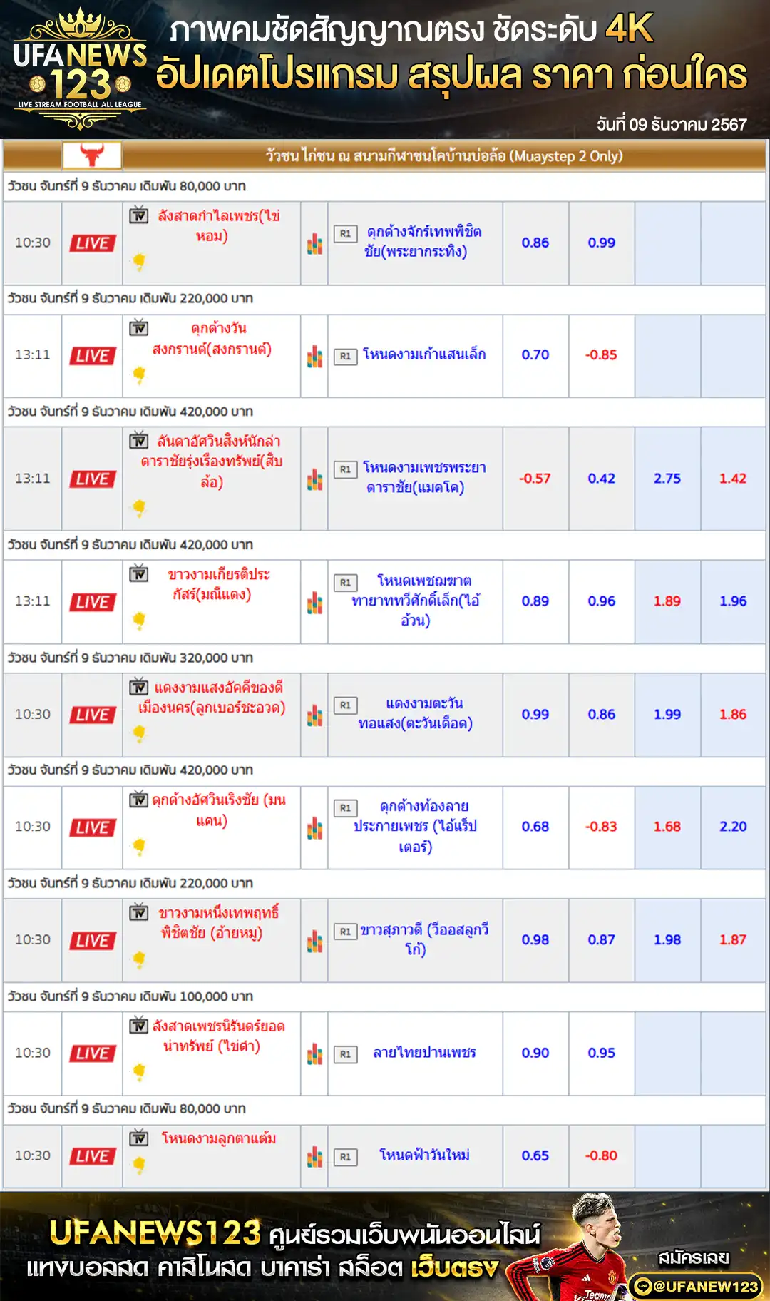 ราคาวัวชน สนามชนโคบ้านบ่อล้อ เริ่มชนเวลา 10.00 น. 09 ธันวาคม 2567